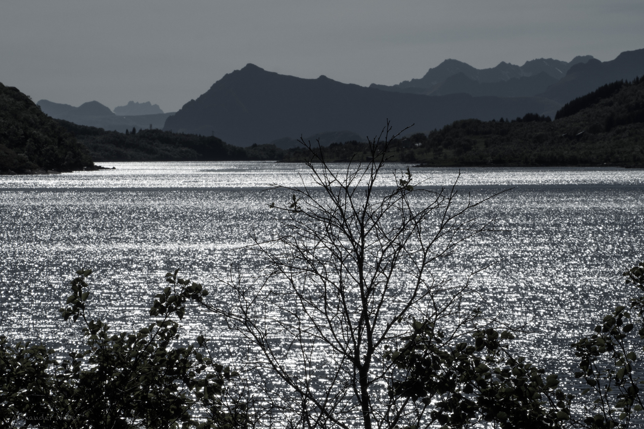 Olympus OM-D E-M10 II sample photo. Silver fjord photography