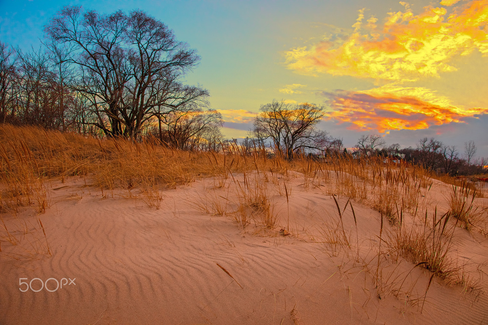 Canon EOS 5DS R sample photo. Wind blown dune photography
