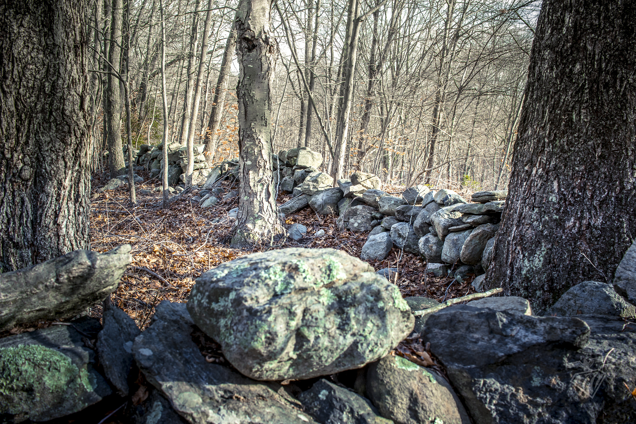 Canon EF-S 24mm F2.8 STM sample photo. Stone wall photography
