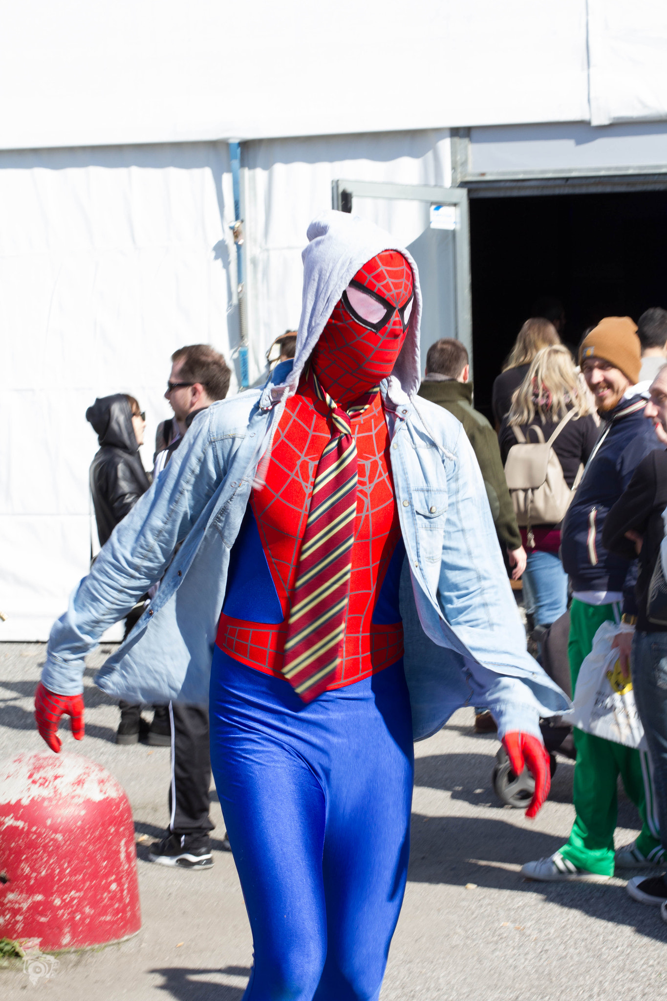Canon EOS 550D (EOS Rebel T2i / EOS Kiss X4) + Canon EF 50mm F1.4 USM sample photo. Mantova comics 2015 photography