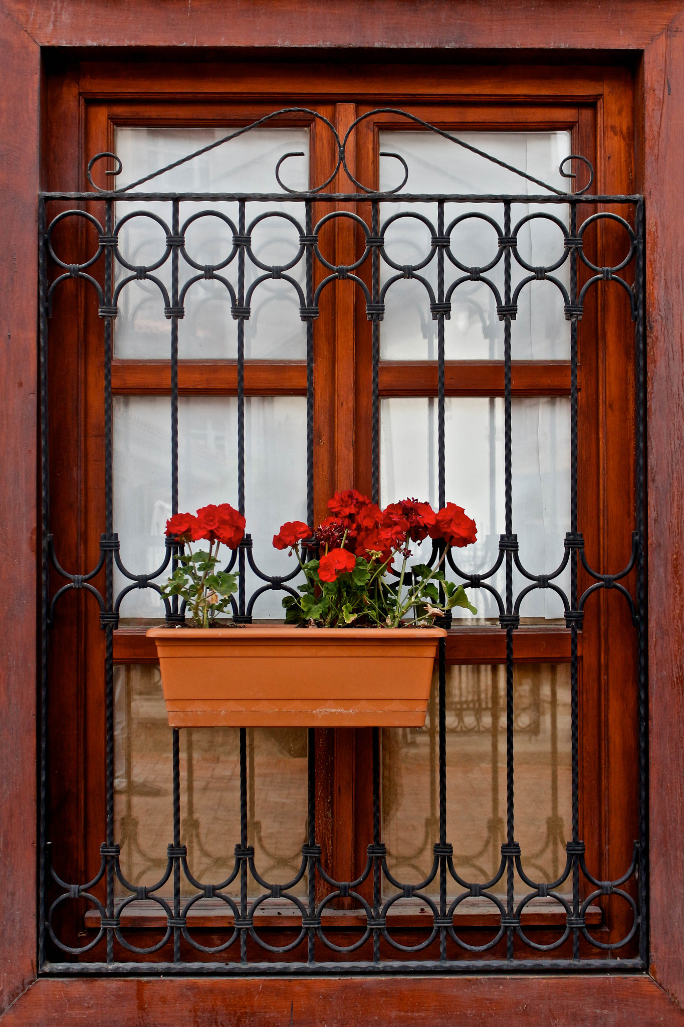 Canon EOS 650D (EOS Rebel T4i / EOS Kiss X6i) sample photo. Window photography