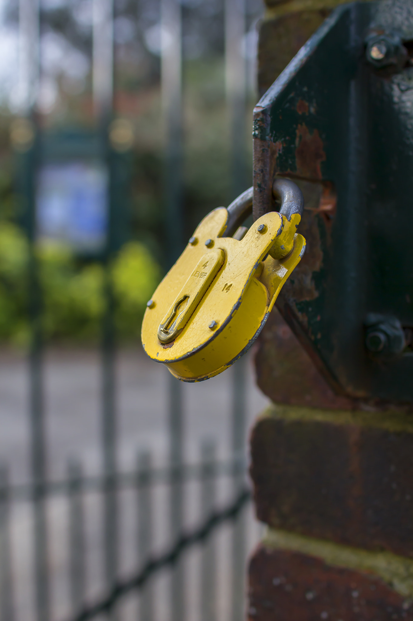 Sigma 30mm F1.4 EX DC HSM sample photo. Padlock photography