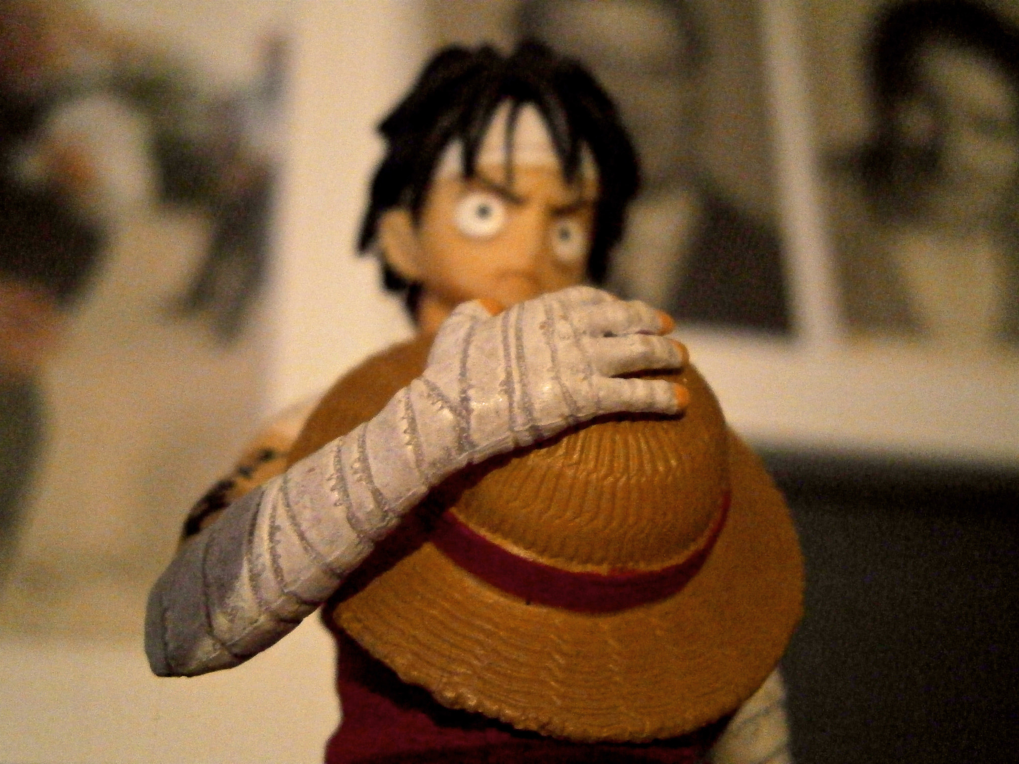 Olympus VG130,D710 sample photo. Luffy up close photography