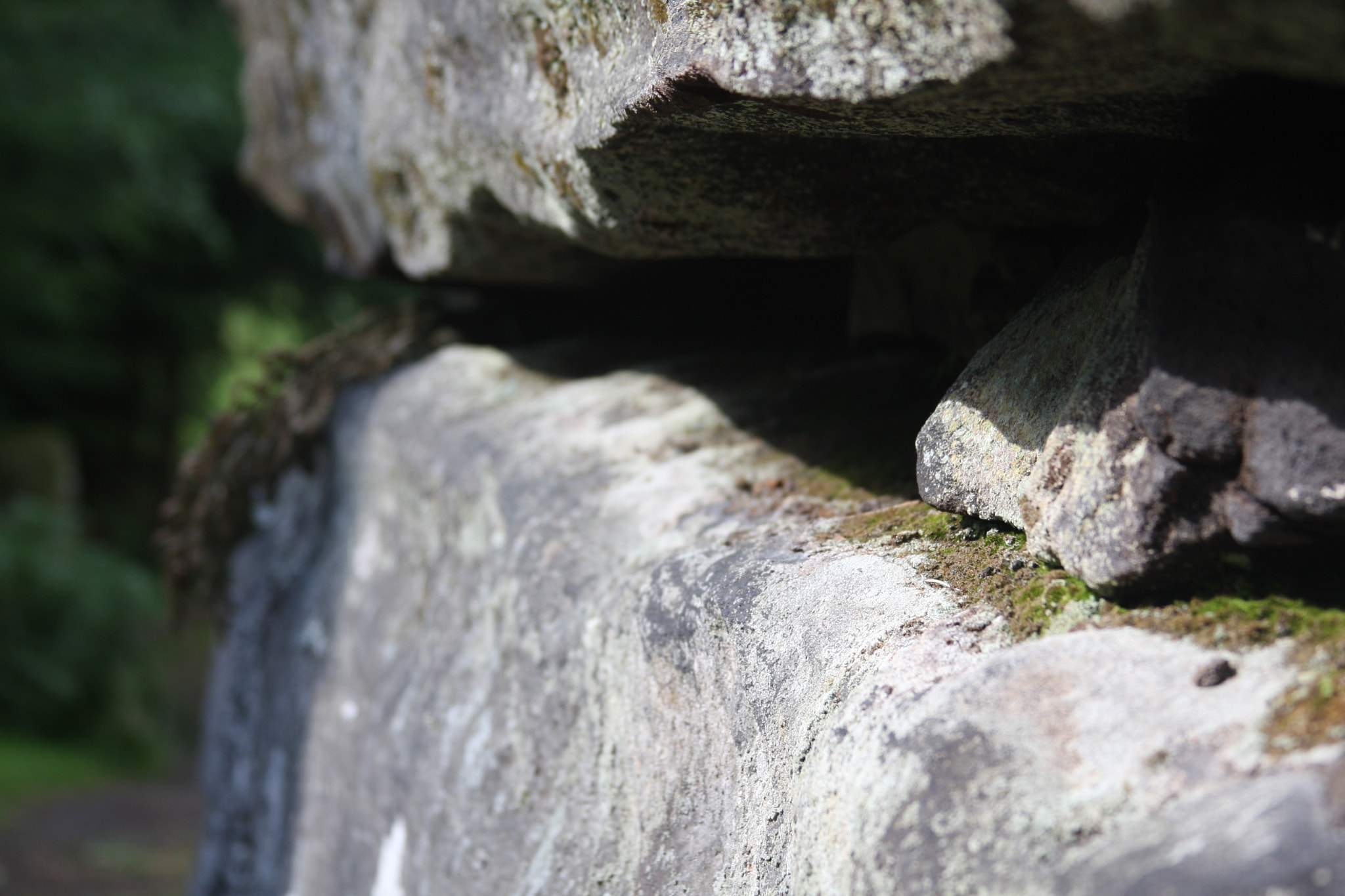 Canon EF 28-135mm F3.5-5.6 IS USM sample photo. Cracks in stone photography