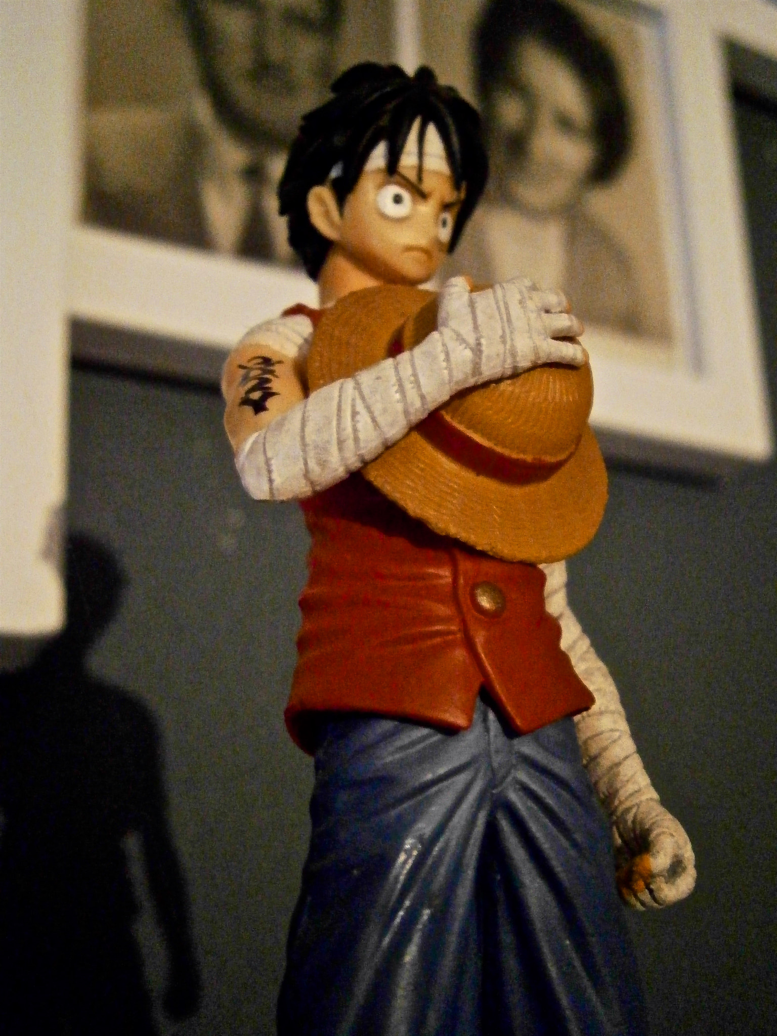 Olympus VG130,D710 sample photo. Luffy looking awesome! photography