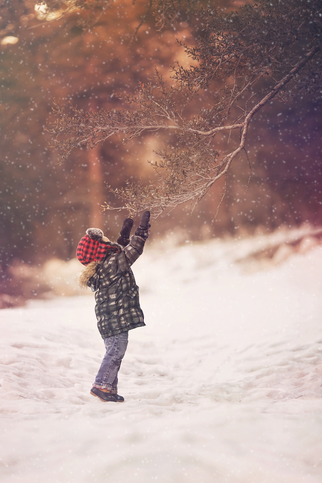 Canon EOS 5D Mark IV + Canon EF 135mm F2L USM sample photo. Snowy day photography