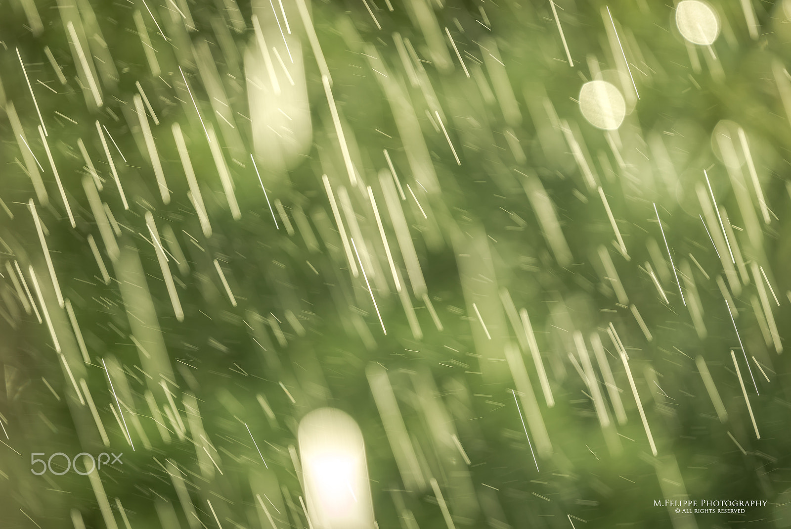 Tamron 18-270mm F3.5-6.3 Di II PZD sample photo. It's raining again photography