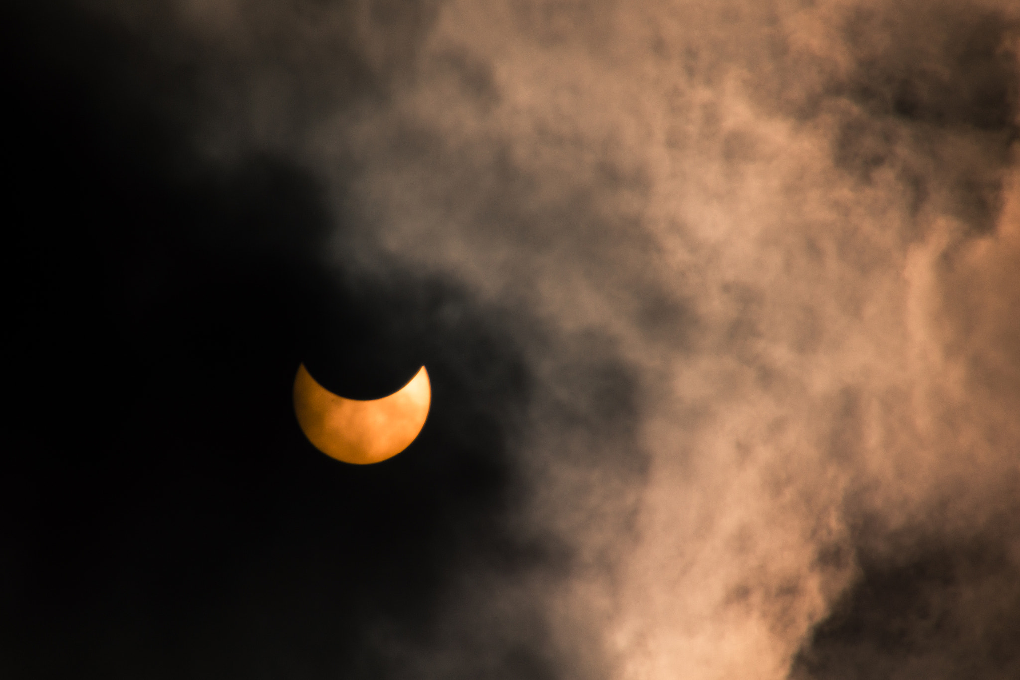 Nikon D7200 sample photo