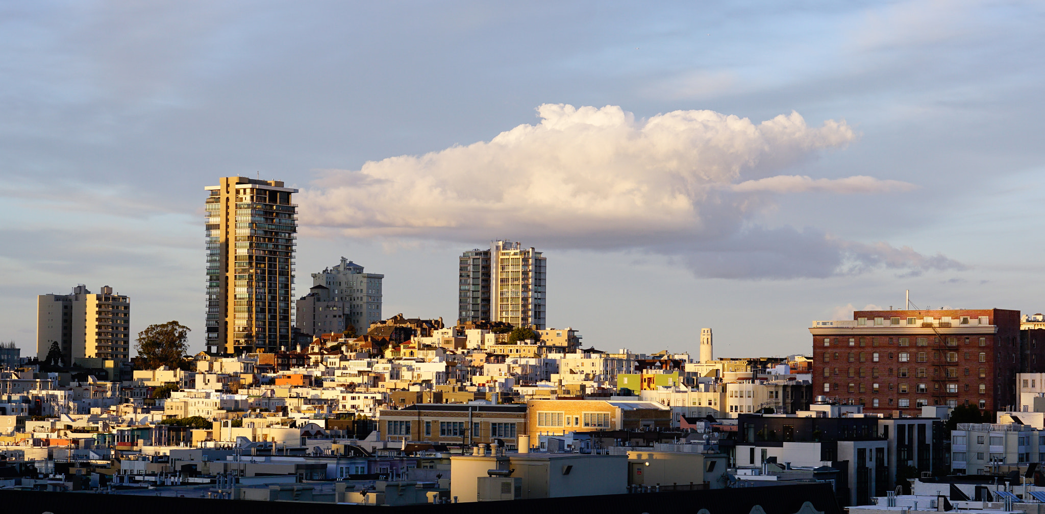 E 50mm F1.8 OSS sample photo. Pretty light over coit tower photography