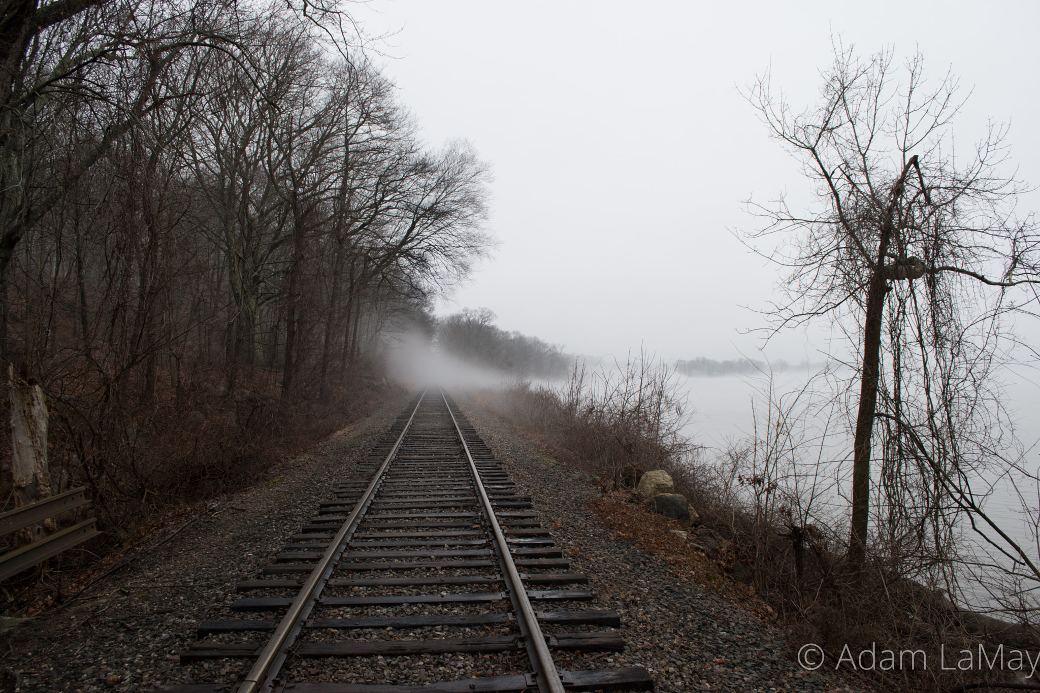 Nikon D5500 sample photo. Train tracks photography