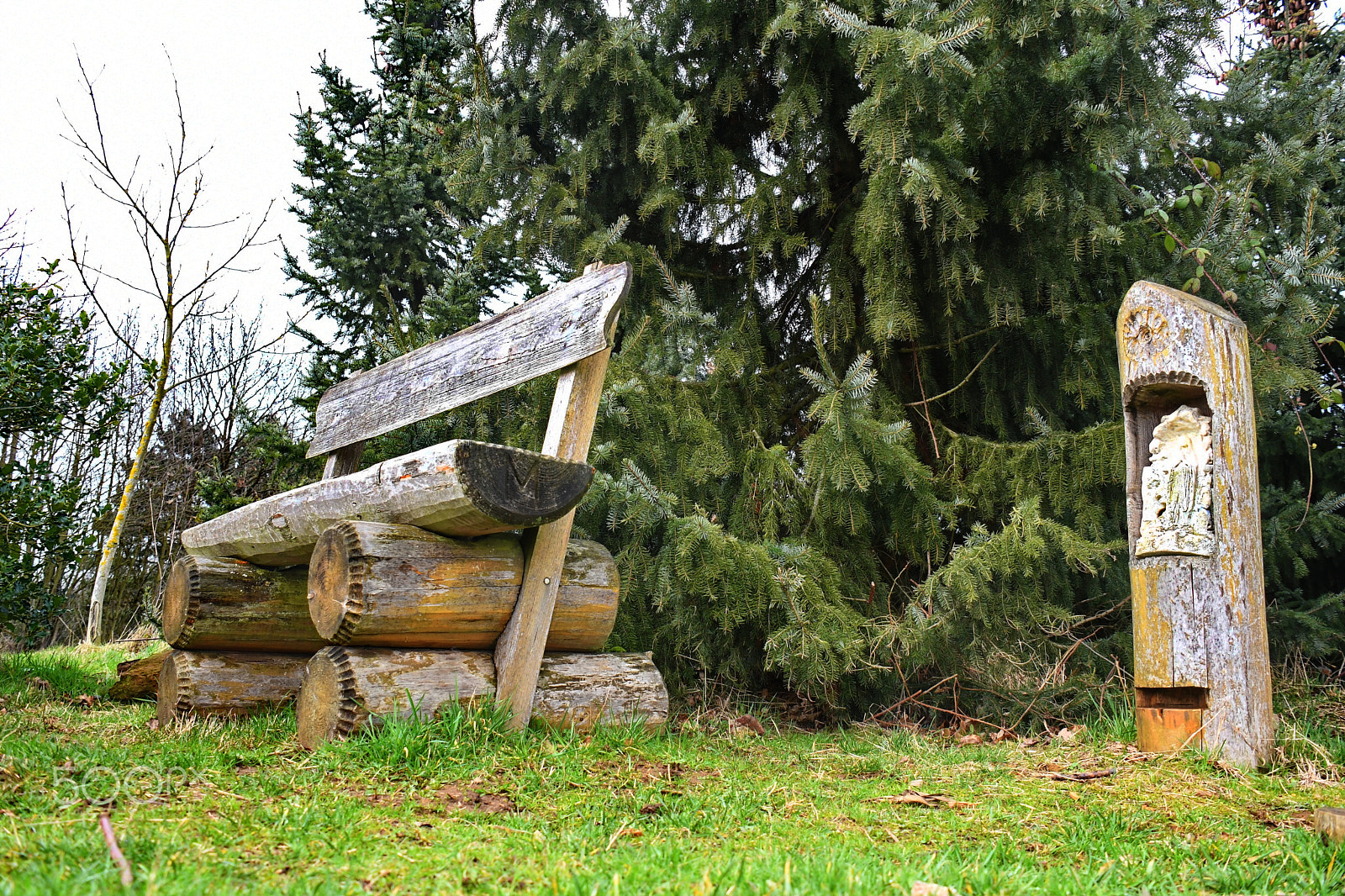 Nikon D500 sample photo. Pauze photography