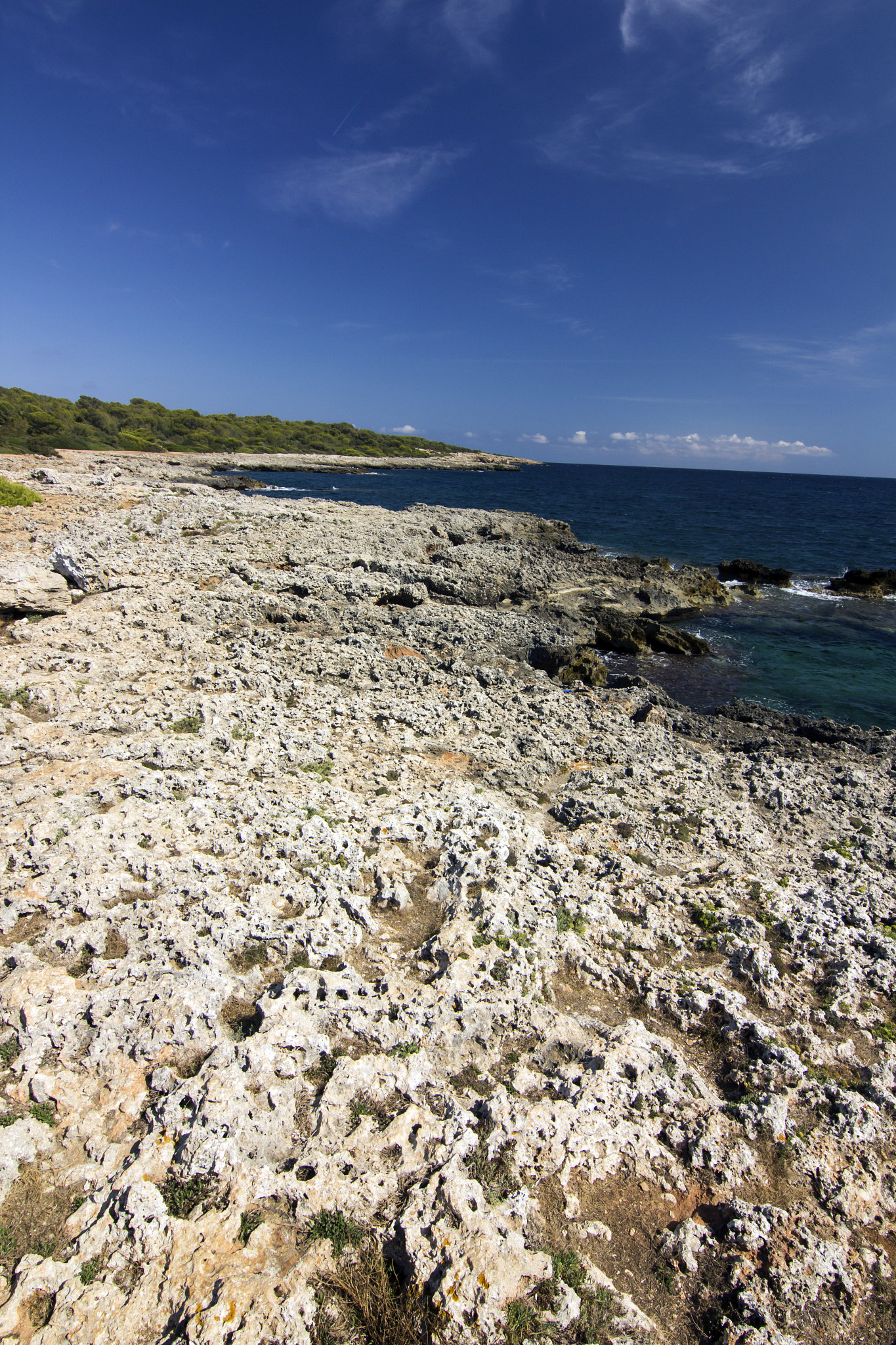 Canon EOS 60D sample photo. The coast photography