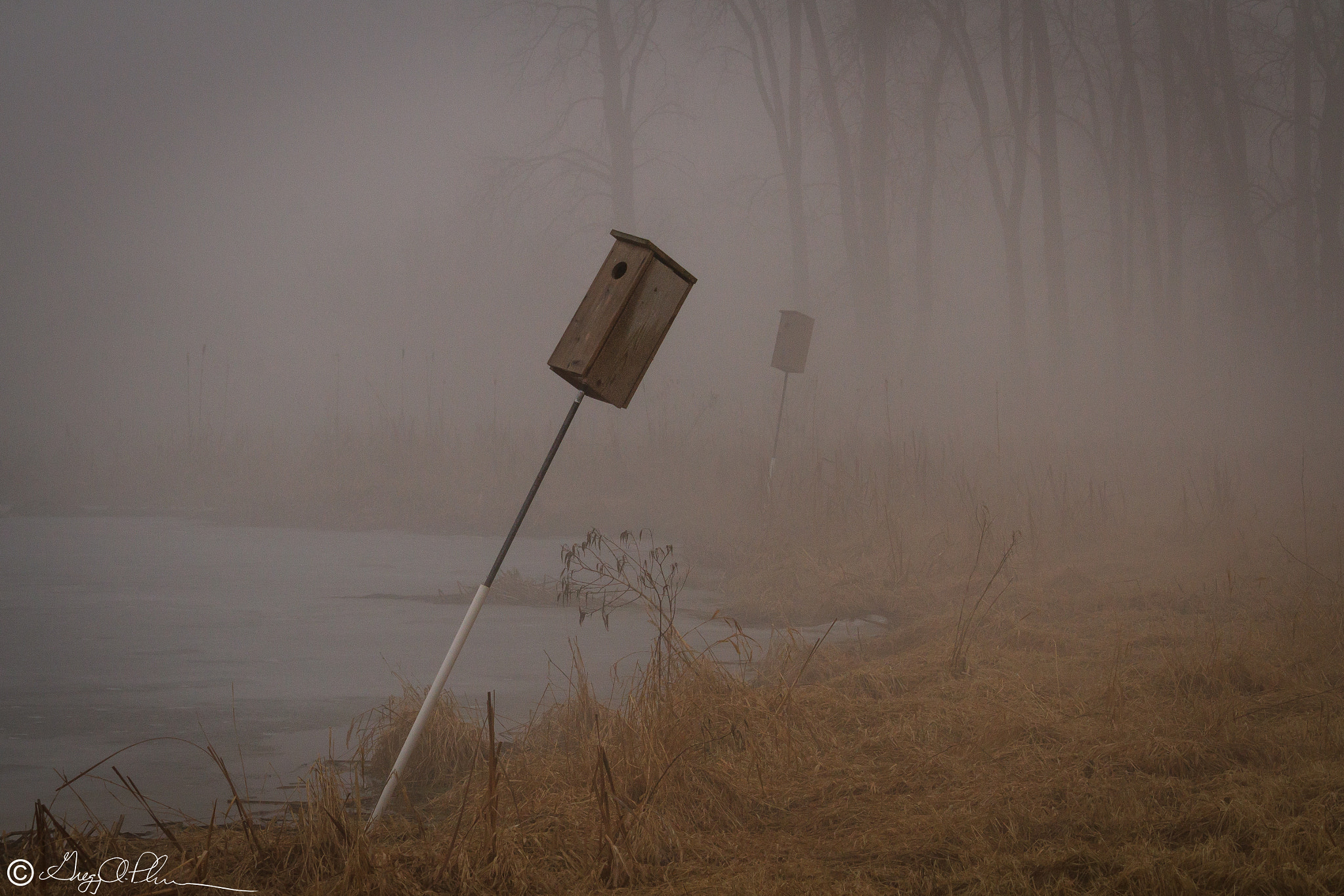 Canon EOS 7D sample photo. In the fog photography