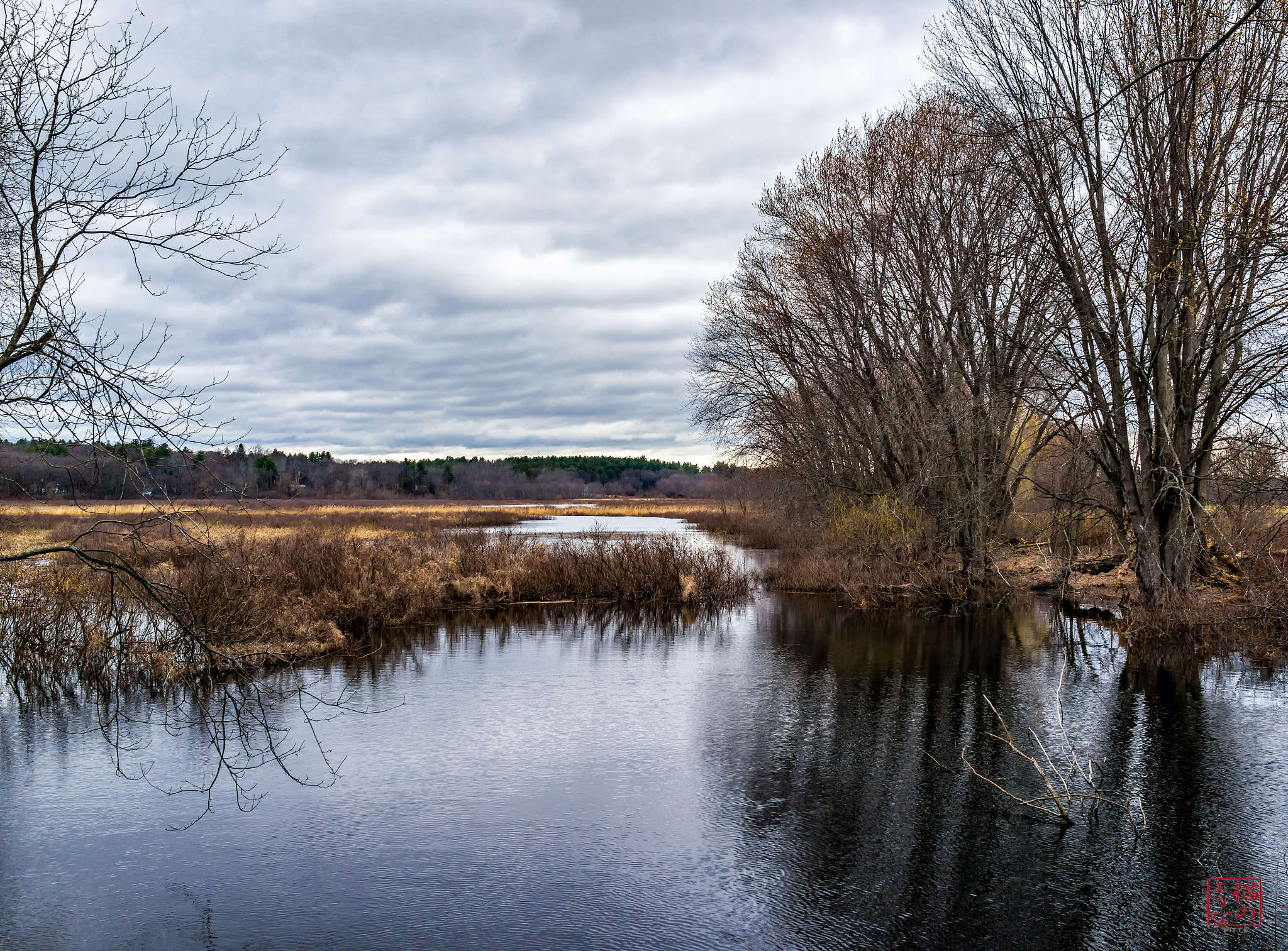 Sony Cyber-shot DSC-RX1 + 35mm F2.0 sample photo. High water photography