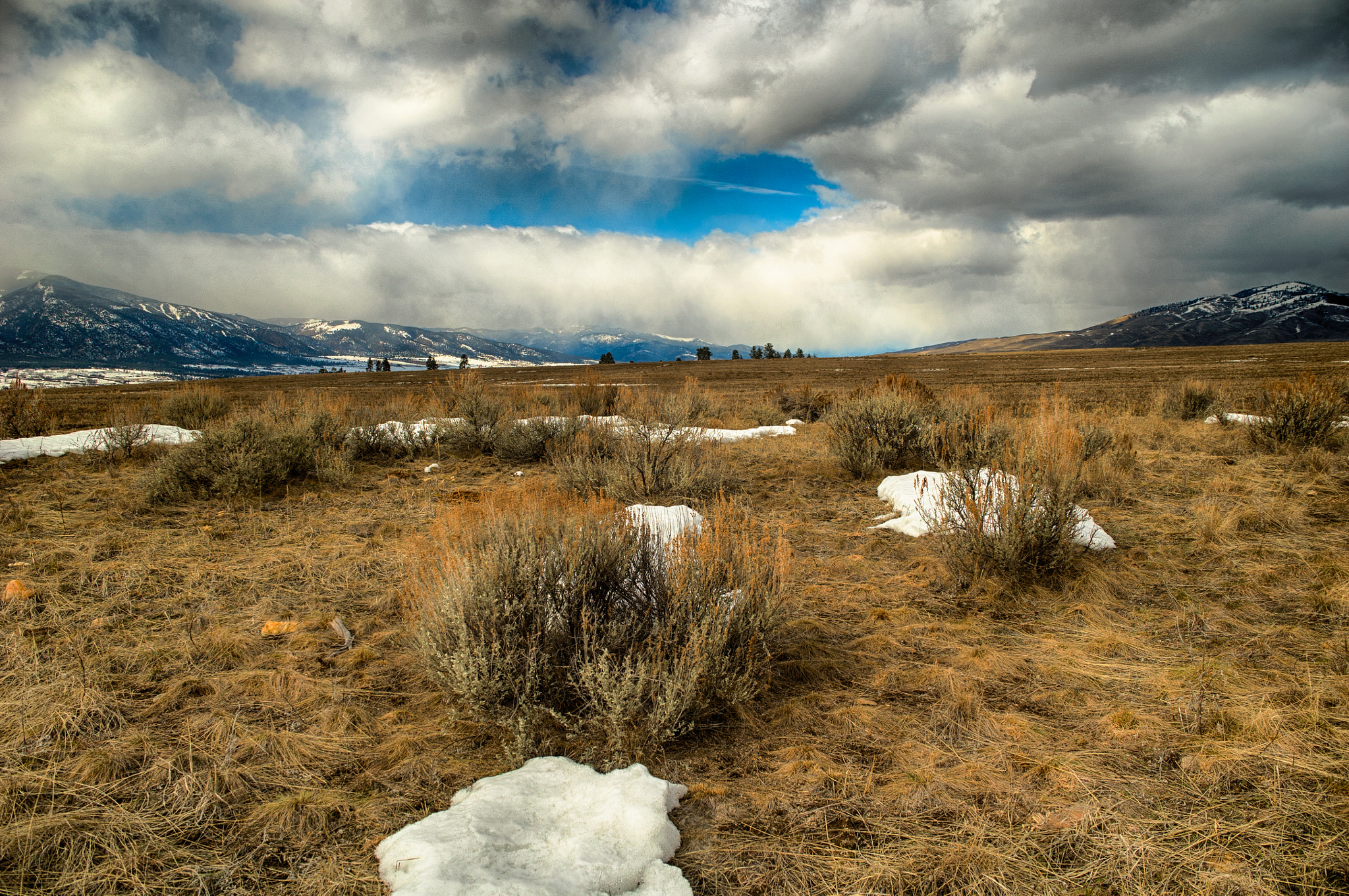 Sony a7S + Minolta AF 28-70mm F2.8 G sample photo. Bitter fields photography