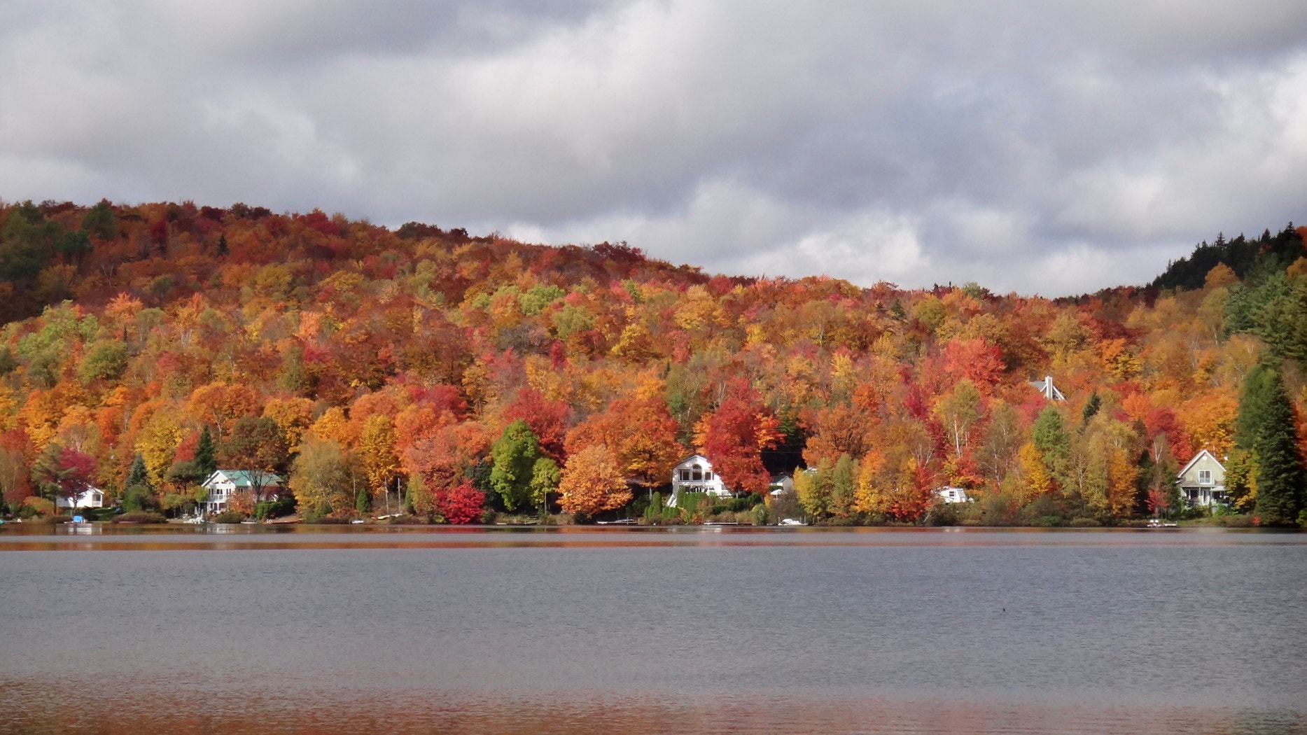 Sony DSC-TX100V sample photo. Automne au québec photography