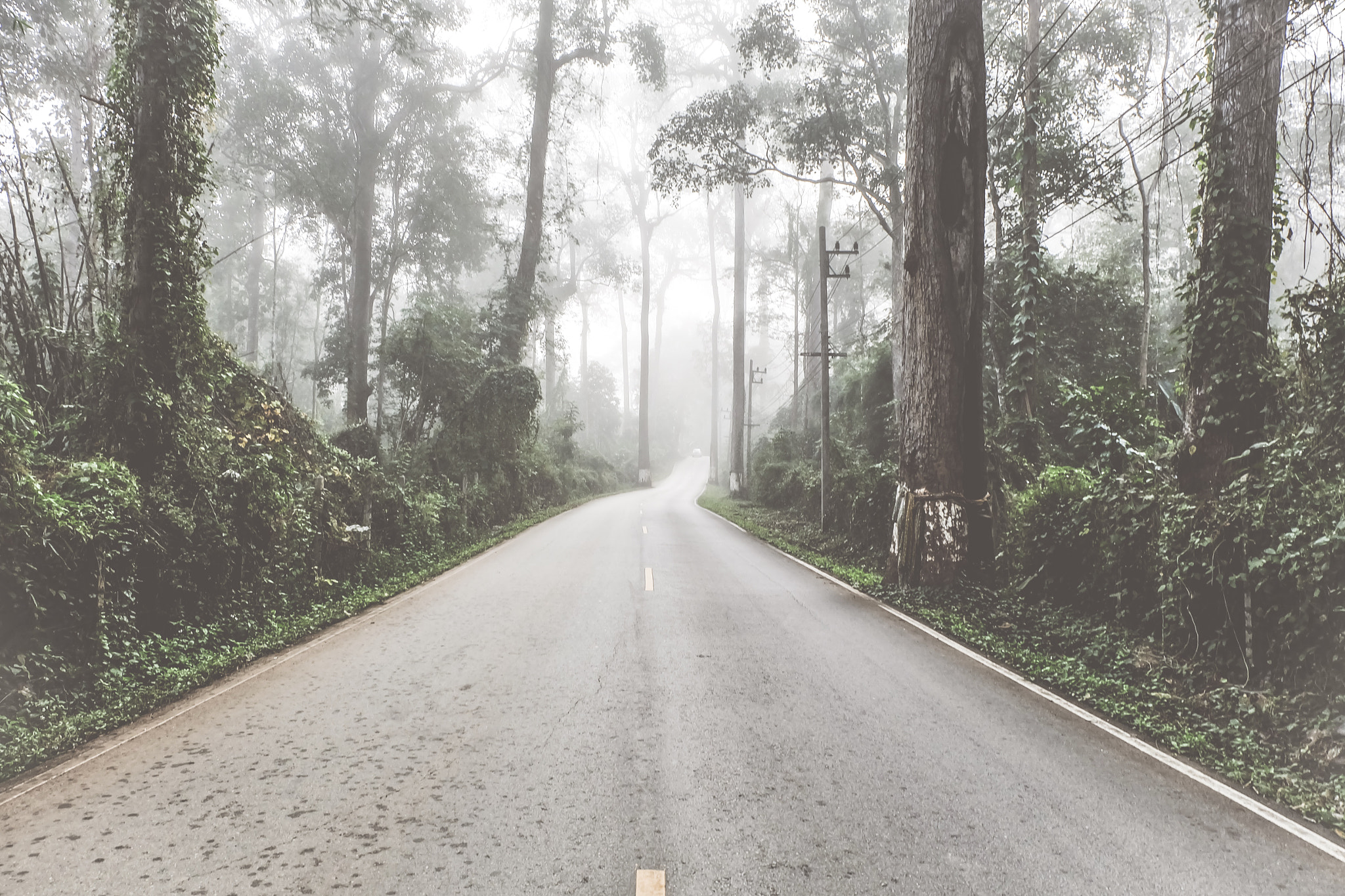 Fujifilm XC 16-50mm F3.5-5.6 OIS sample photo. Roadofnature photography