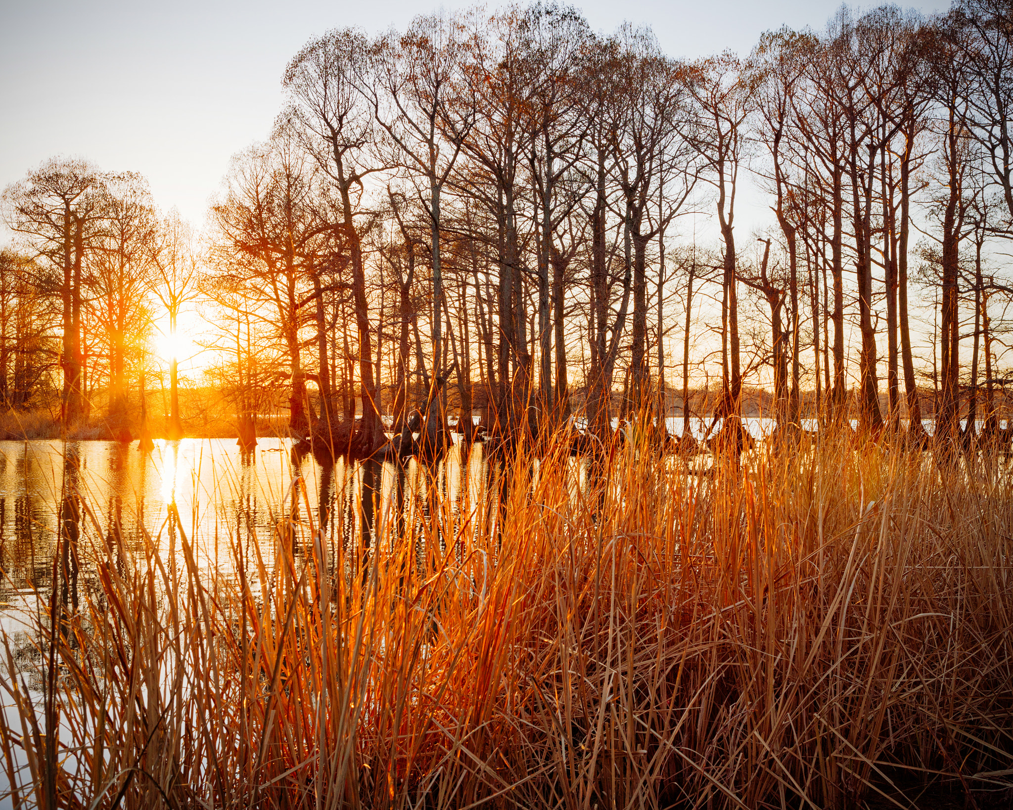 Canon EF 24-70mm F2.8L USM sample photo. Golden hour photography