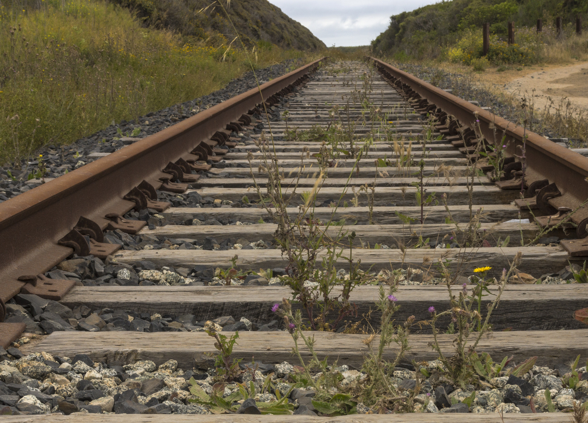 Sony SLT-A65 (SLT-A65V) sample photo. Abandoned tracks photography