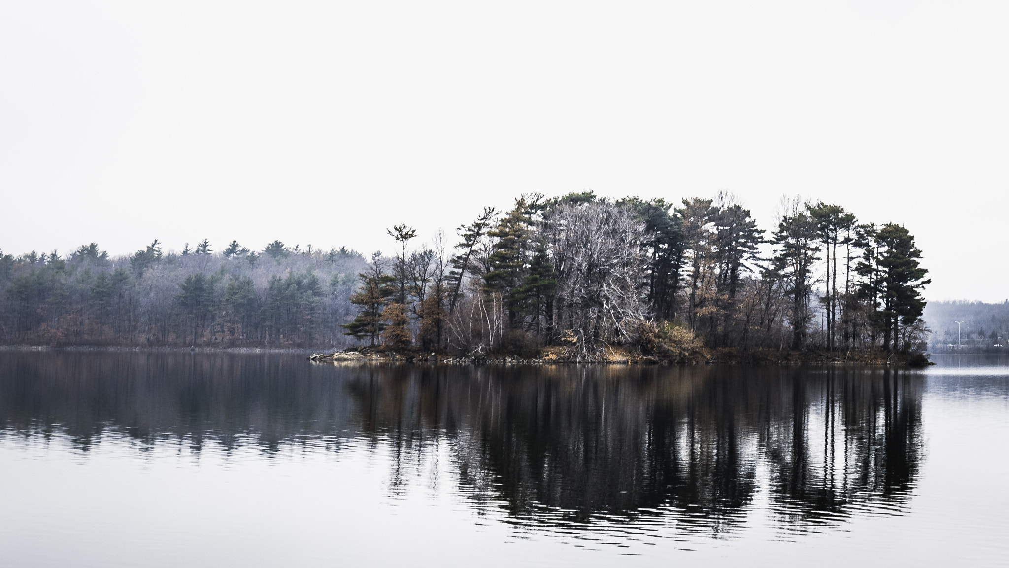 Nikon AF-S Nikkor 18-35mm F3.5-4.5G ED sample photo. Gray day on spot pond photography