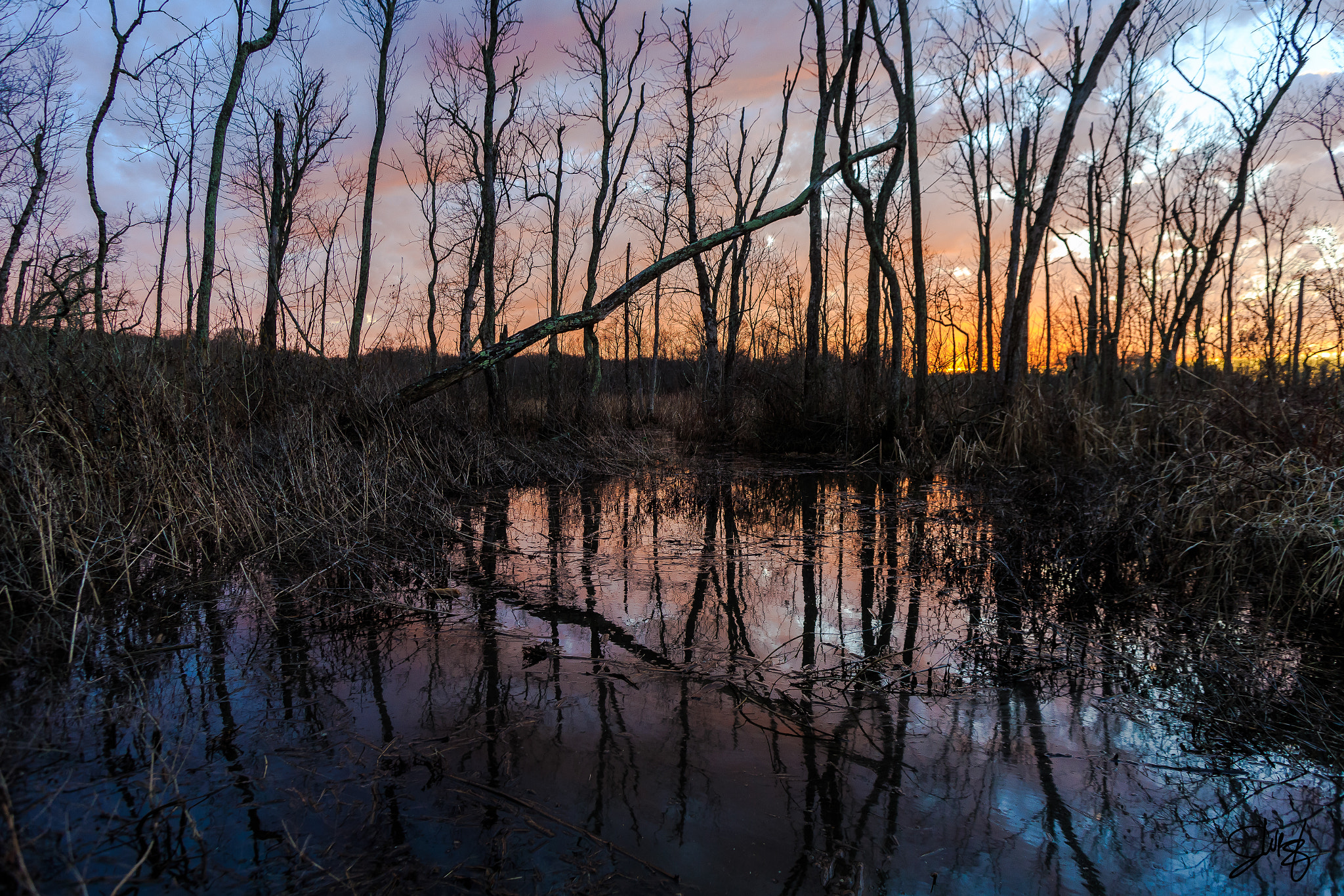 Canon EOS-1D X + Canon EF 20-35mm f/2.8L sample photo. Piscataway nwr maryland photography