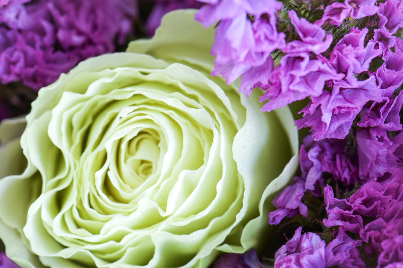 Nikon AF-S Micro-Nikkor 105mm F2.8G IF-ED VR sample photo. Beautiful colors photography