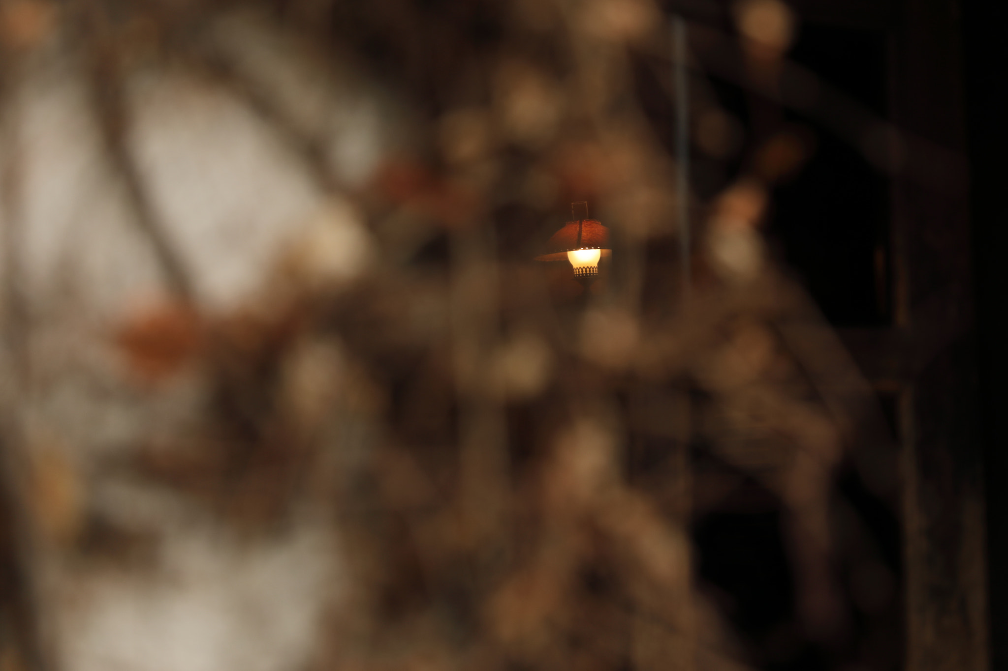 Canon EF 24-70mm F4L IS USM sample photo. Light photography