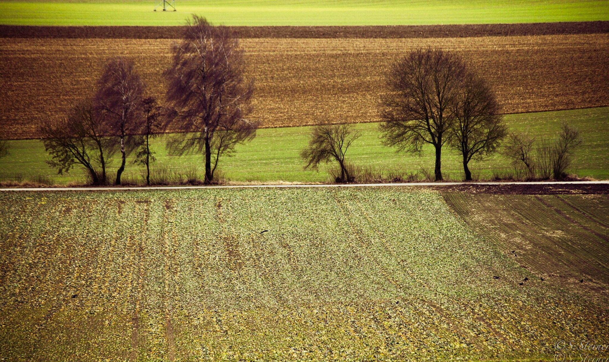 Canon EF 70-300mm F4-5.6 IS USM sample photo. Countryside in germany (ulm) photography