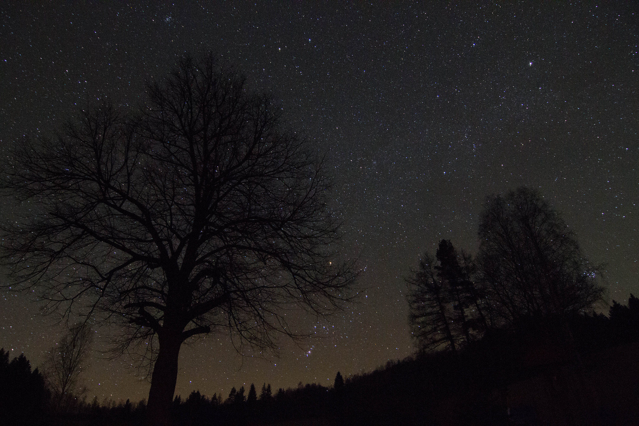 Canon EOS 7D + Tokina AT-X Pro 12-24mm F4 (IF) DX sample photo. Night sky photography