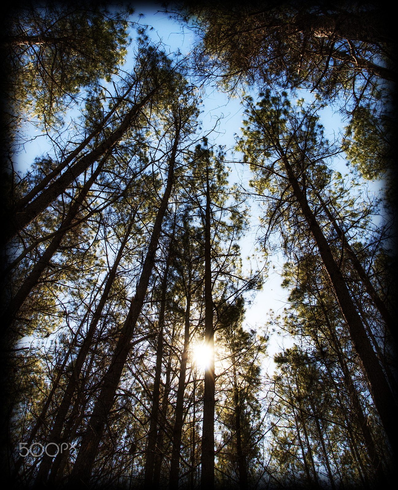 Canon EOS 70D + Canon EF 17-40mm F4L USM sample photo. Pines photography