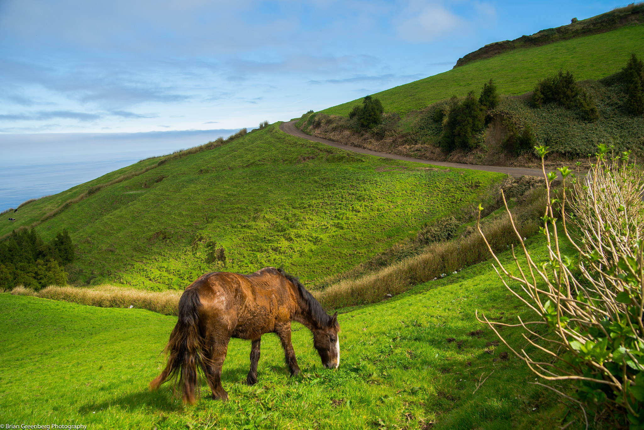 Sony a99 II + Sigma 17-70mm F2.8-4.5 (D) sample photo. The workhorse photography