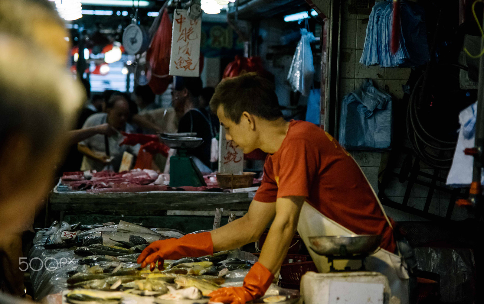 Sigma ZOOM-alpha 35-135mm F3.5-4.5 sample photo. Hong kong fish market photography