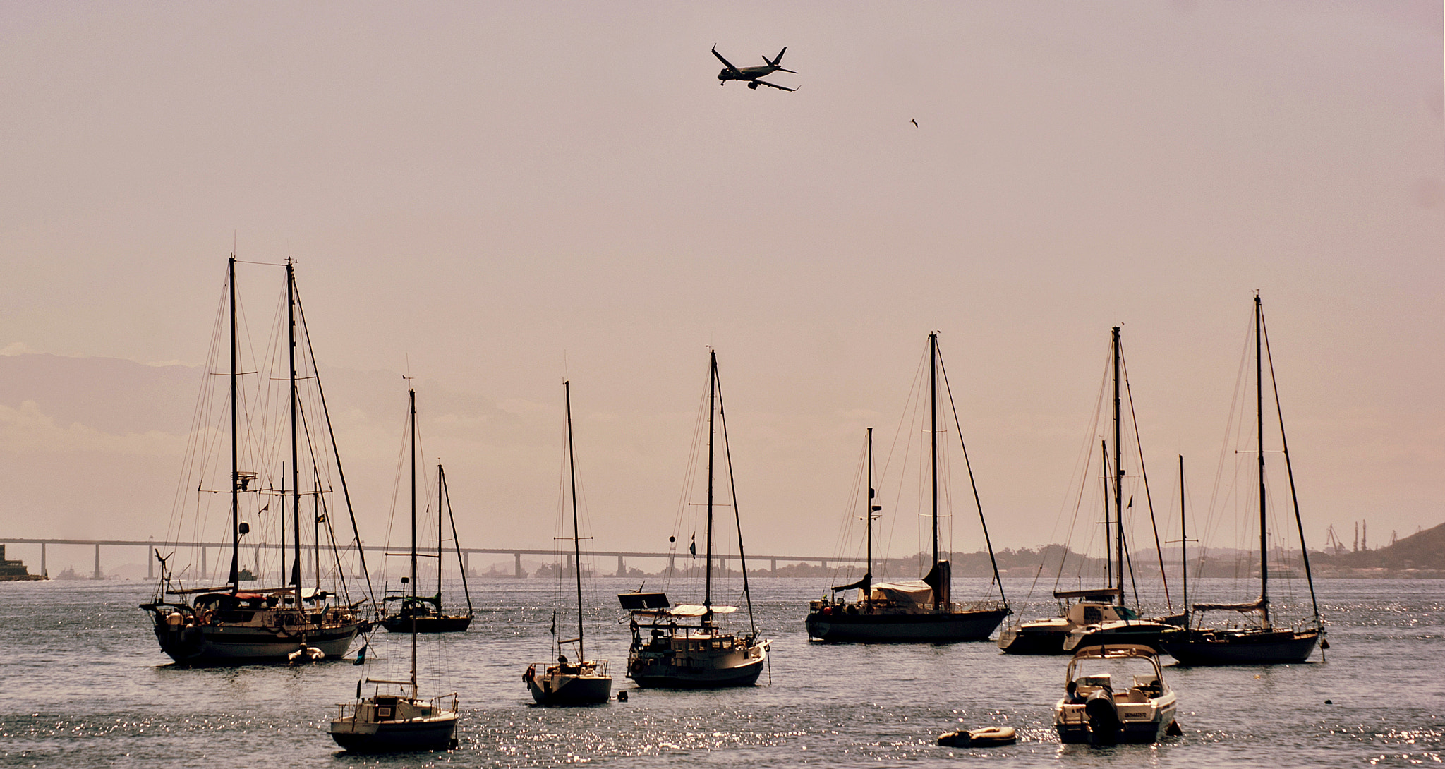 Sony Alpha DSLR-A330 sample photo. By the bay photography