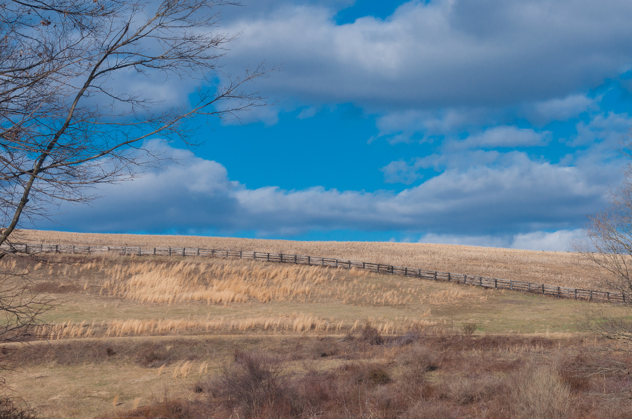 AF Zoom-Nikkor 28-80mm f/3.3-5.6G sample photo. Farm field photography