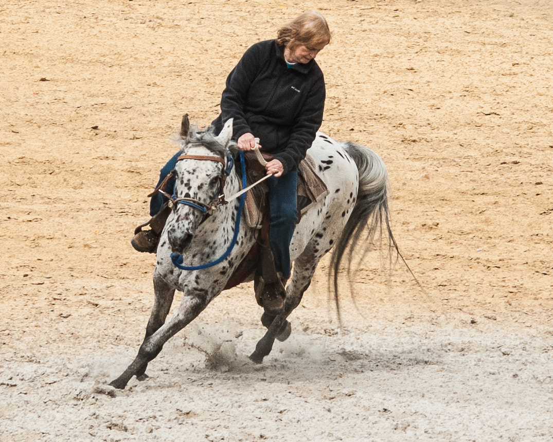 AF Nikkor 70-210mm f/4-5.6 sample photo. Appaloosa in sharp turn photography