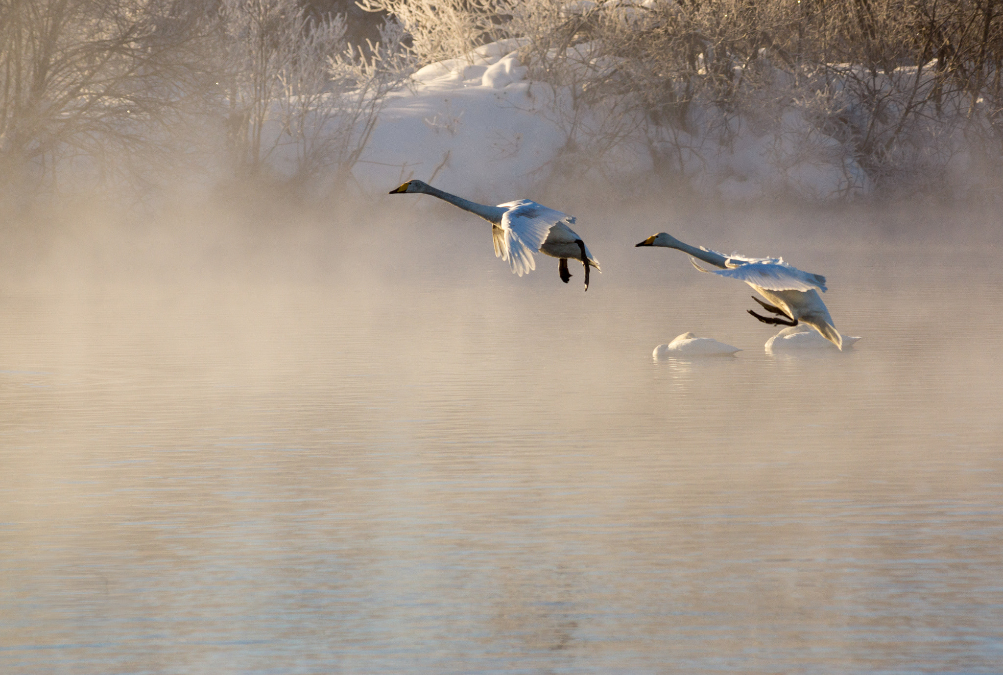 Sony SLT-A77 + Sony 75-300mm F4.5-5.6 sample photo. Travel to altay mountains photography