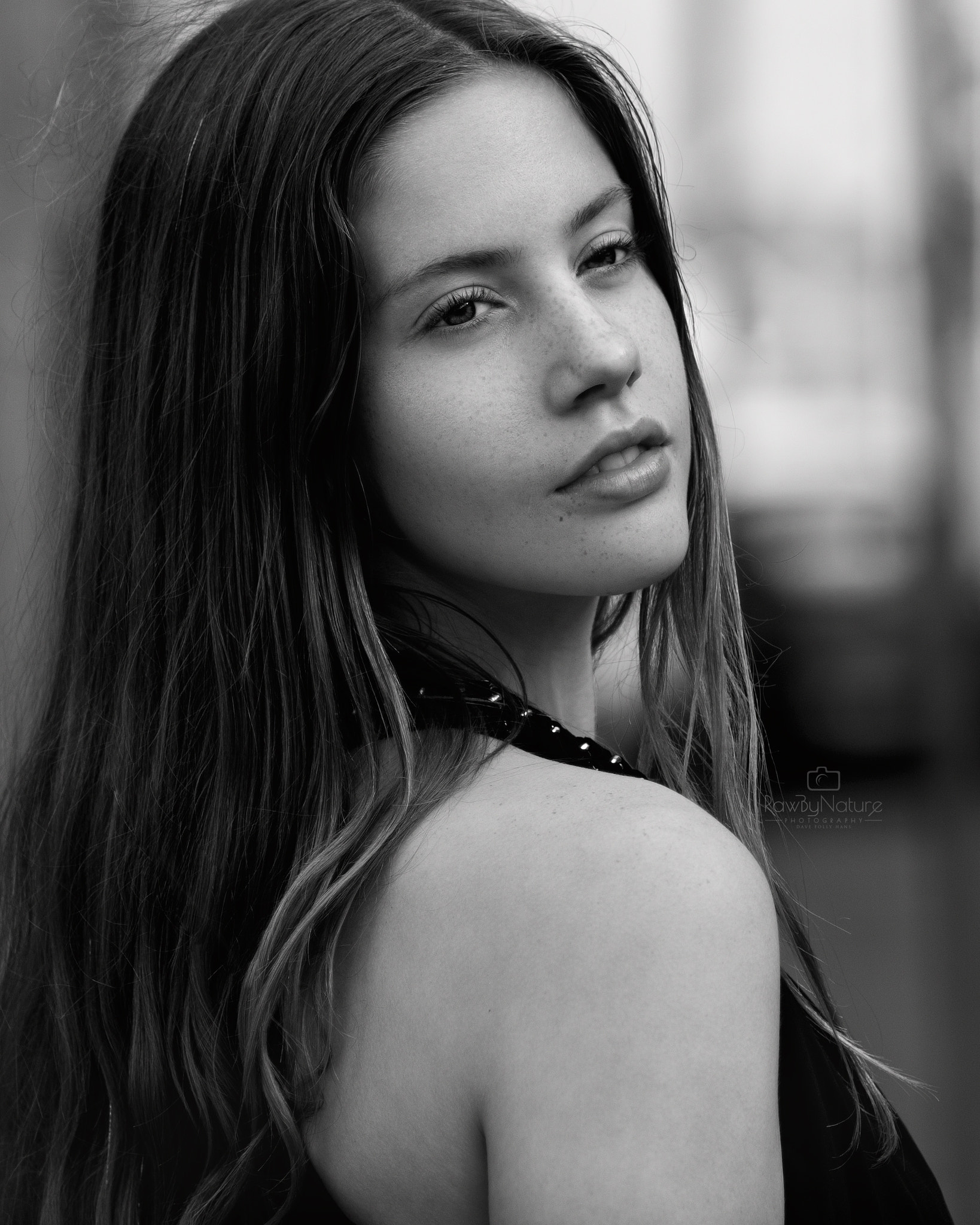 Sony Planar T* 85mm F1.4 ZA sample photo. Cass ii photography