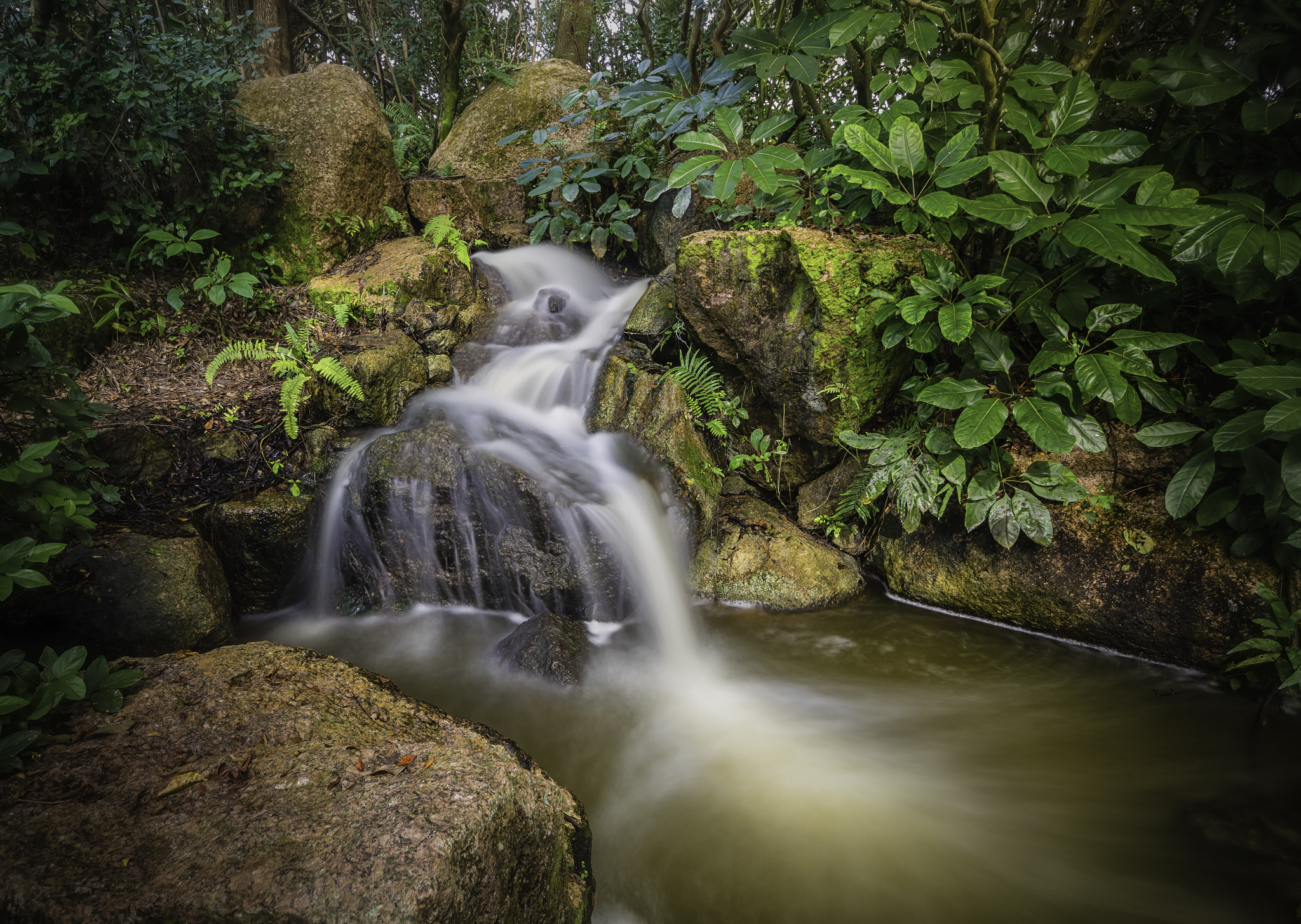 Nikon D5500 sample photo. Rock garden photography