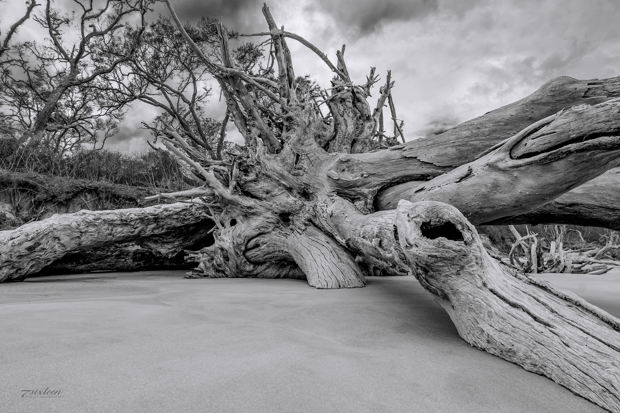 Nikon AF-S Nikkor 14-24mm F2.8G ED sample photo. Beach wood photography