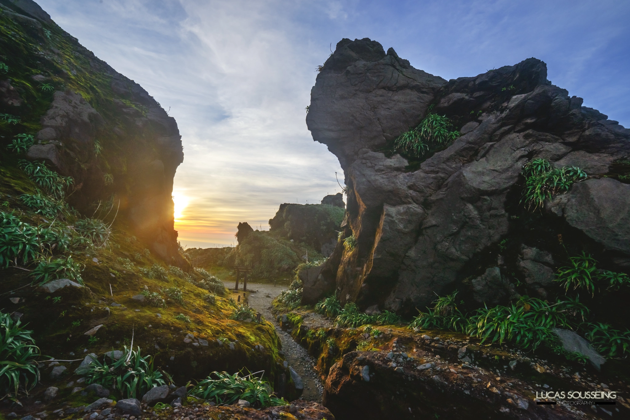 Samyang 14mm F2.8 ED AS IF UMC sample photo. Vestibule photography