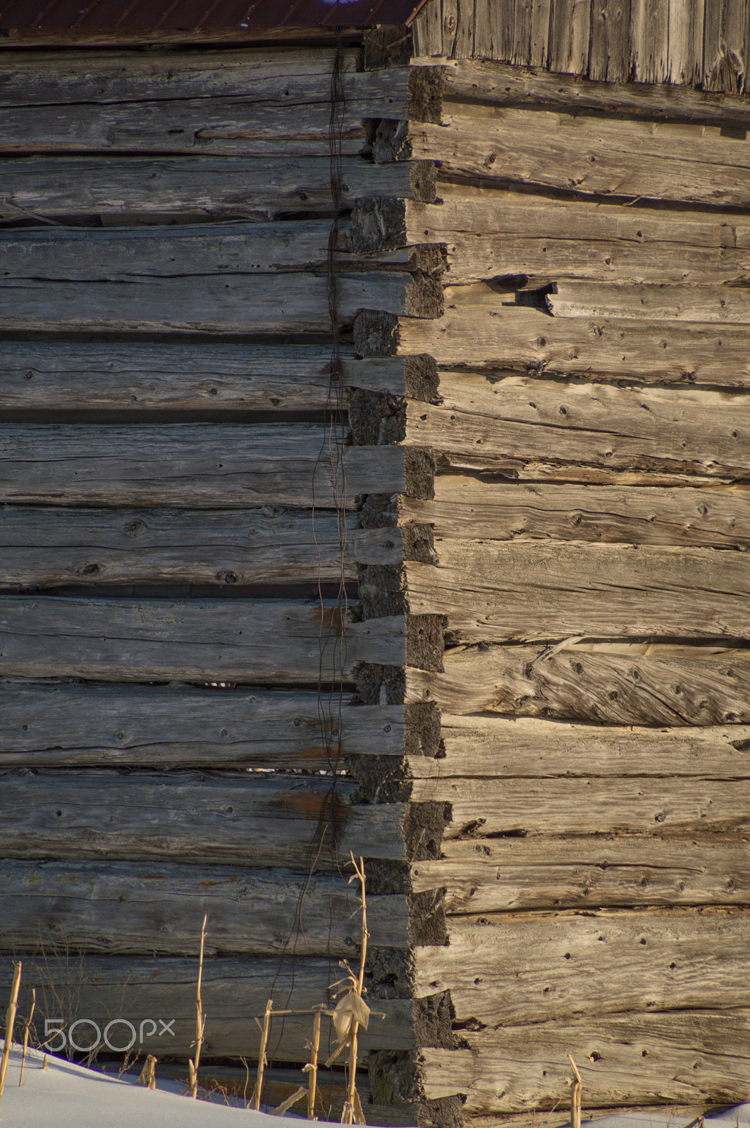 Nikon D3200 sample photo. Background pioneer log cabin barn walls and conrer in sunshine photography