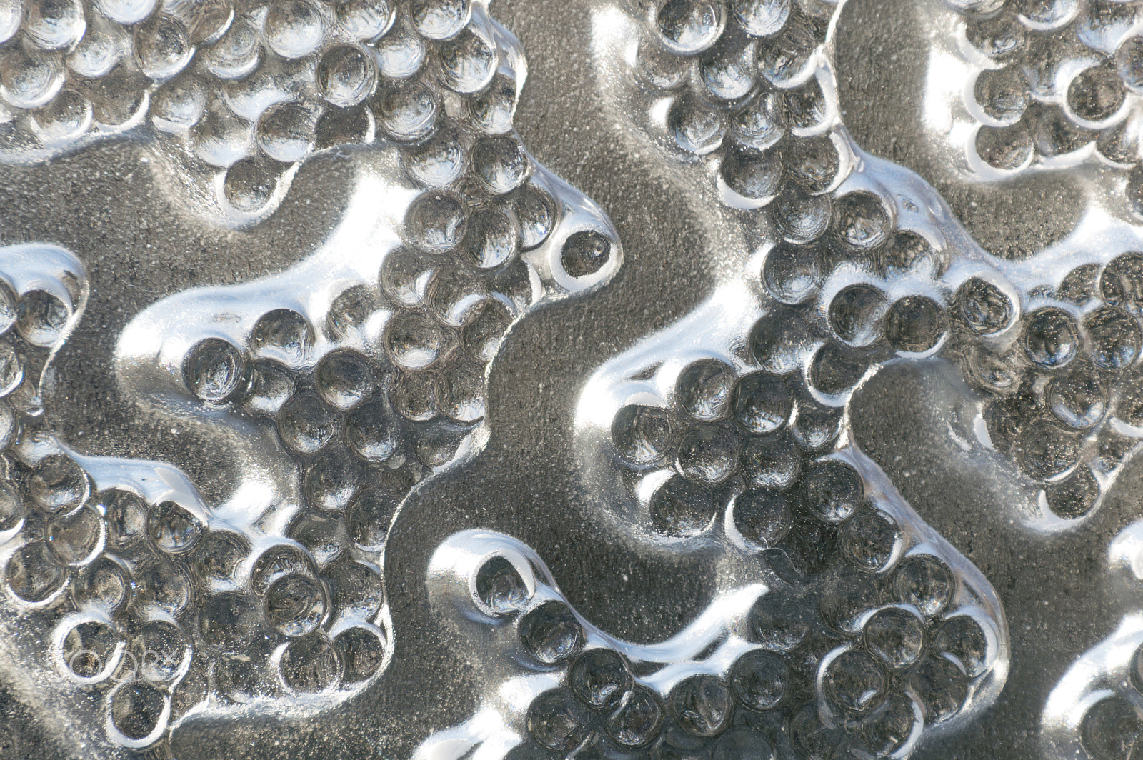 Nikon D3200 sample photo. Closeup of frozen ice sculpture carving photography