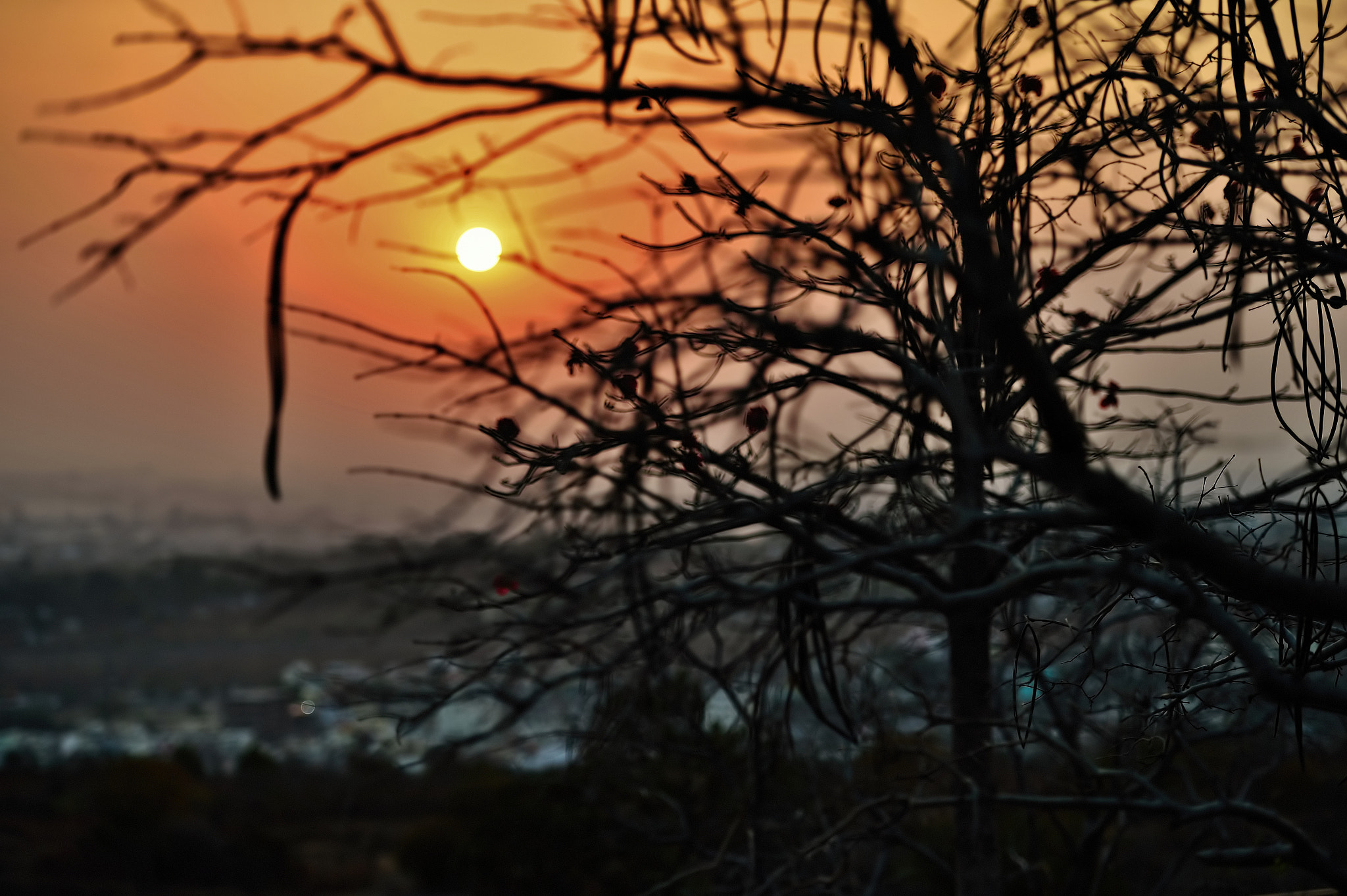 Nikon D4S sample photo. Sunrise photography