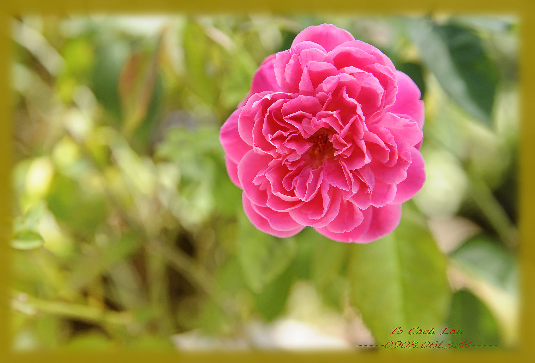 Sigma 17-50mm F2.8 EX DC OS HSM sample photo. Tcl photography