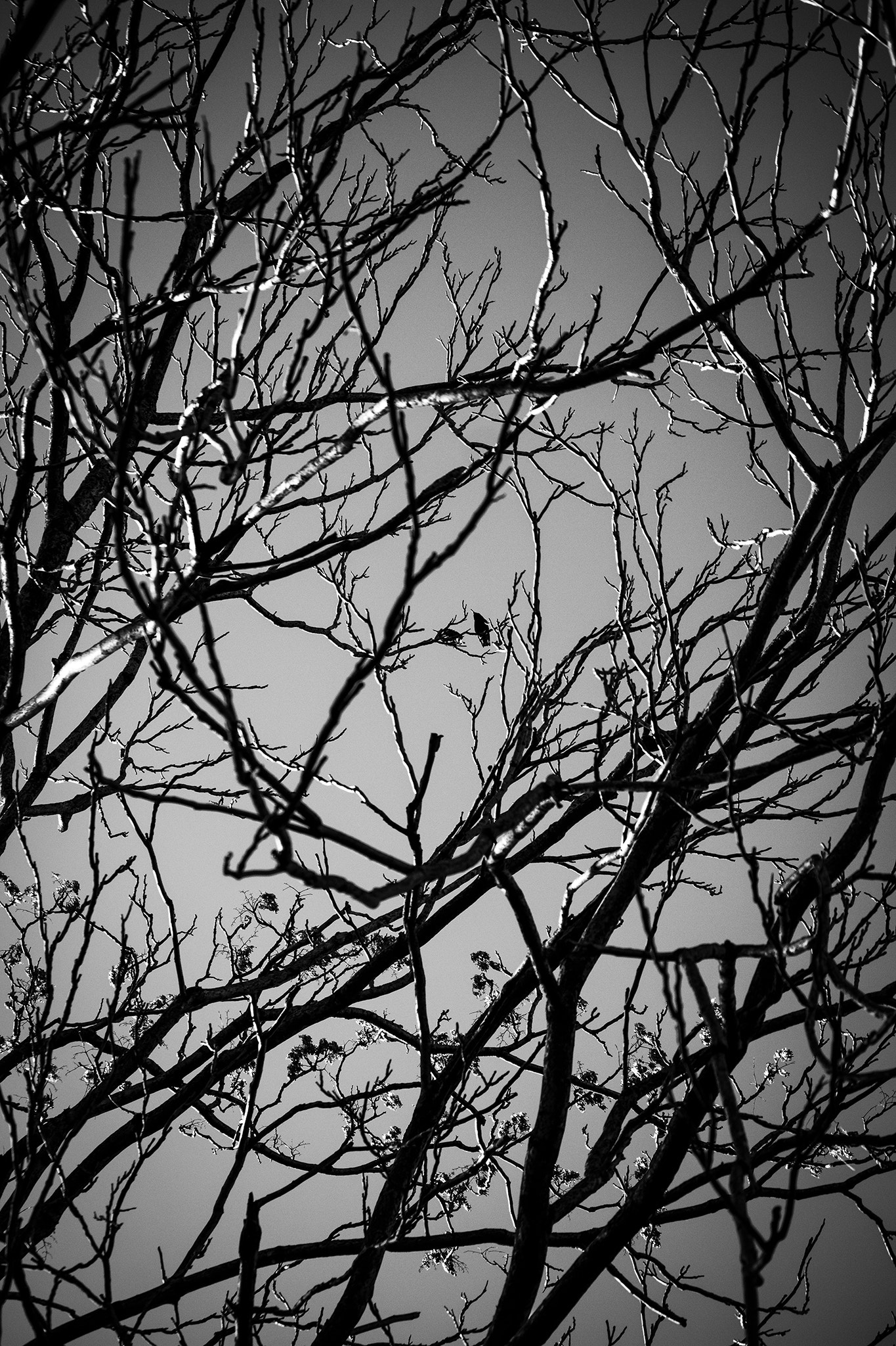 Canon EF-S 55-250mm F4-5.6 IS sample photo. The journey ahead photography