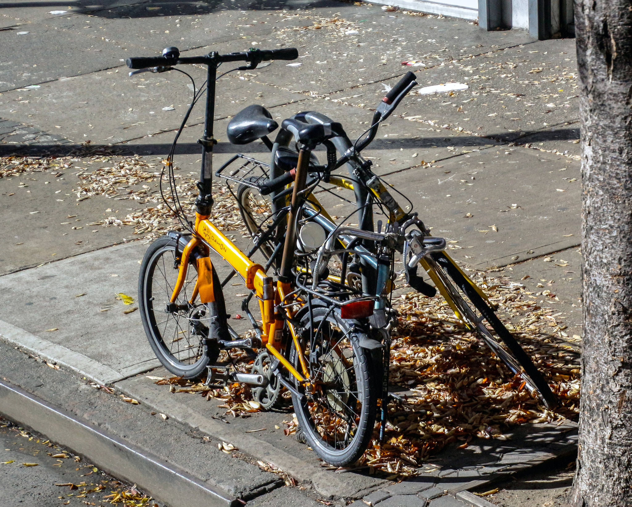 Canon EOS 700D (EOS Rebel T5i / EOS Kiss X7i) sample photo. Bikes on the street photography