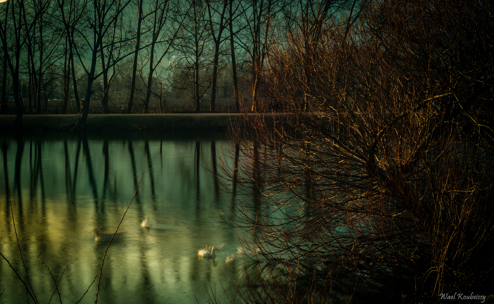 Nikon D5500 + Nikon AF Nikkor 50mm F1.8D sample photo. Winter by the lake photography