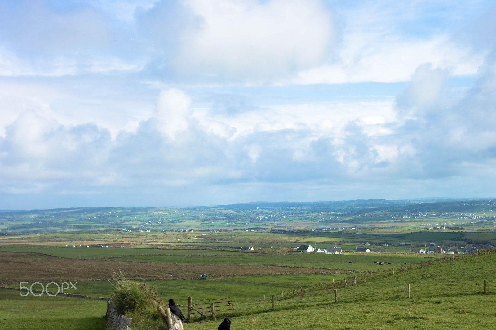 Nikon D3200 + Nikon AF Nikkor 50mm F1.8D sample photo. Ireland + cliffs of moher photography