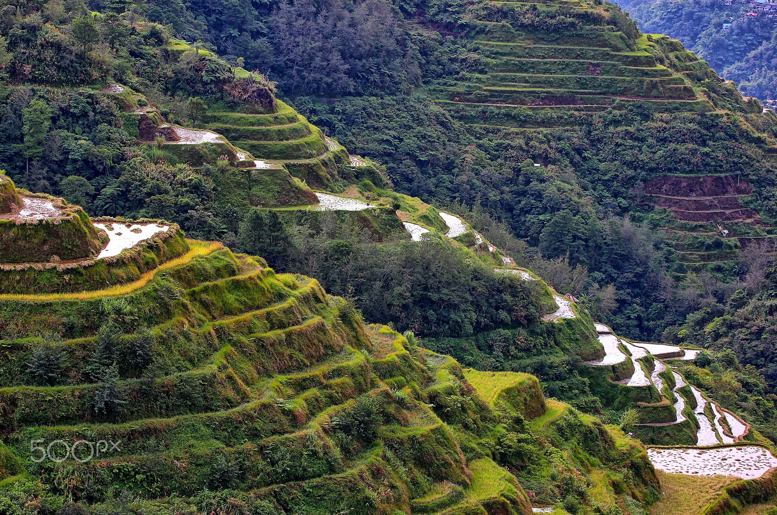 Canon EOS 550D (EOS Rebel T2i / EOS Kiss X4) + Canon EF 70-200mm F4L USM sample photo. Banaue terraces photography