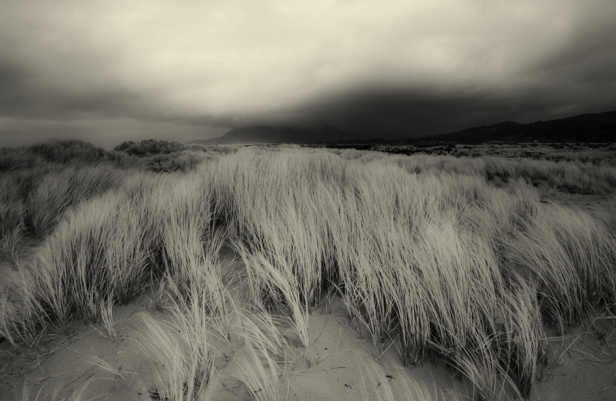 Pentax K-5 II sample photo. Dune grass photography